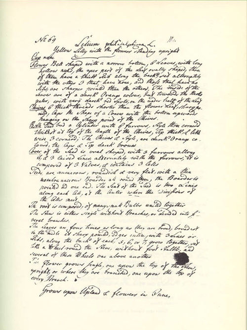 Jane Colden History of Early American Landscape Design