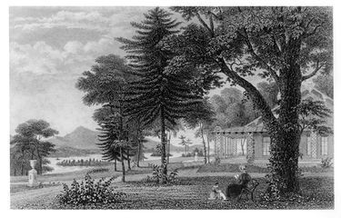 Andrew Jackson Downing - History of Early American Landscape Design