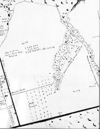 Orchard - History of Early American Landscape Design