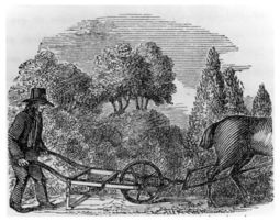 Blithewood - History of Early American Landscape Design