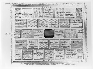 Kitchen garden - History of Early American Landscape Design